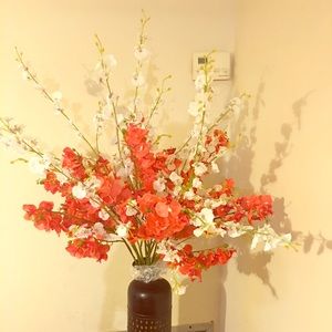 Meet your Posher, Rhea